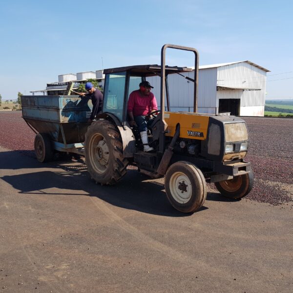 Sao Rafael farm photo