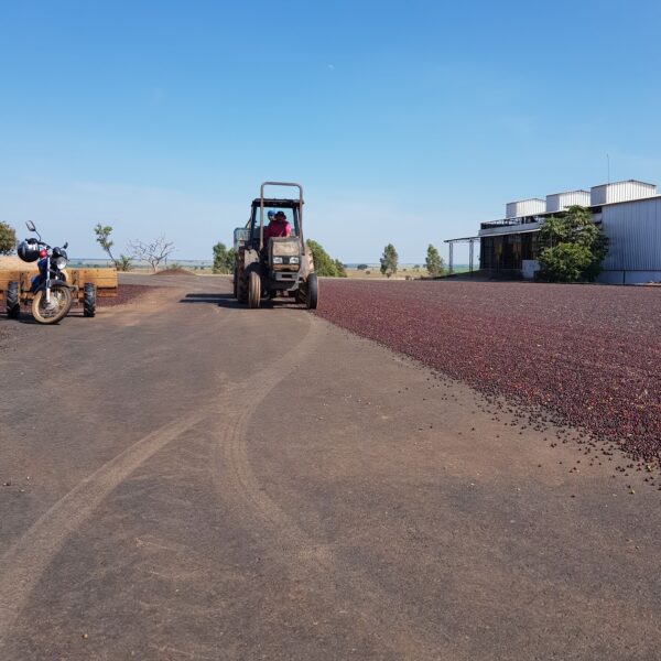 Farm Sao Rafael